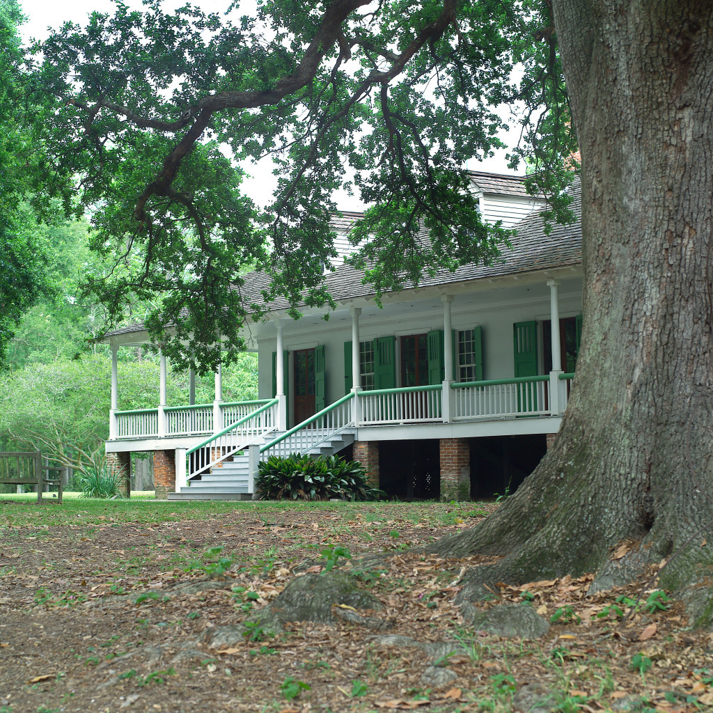 Magnolia Mound